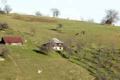 FB_IMG_1730235605728