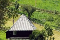 FB_IMG_1730236182426-Copy